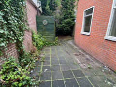 image (7).png